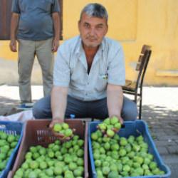 G&ouml;ren g&ouml;zlerine inanamadı! Pazarda meyve değil sinek satıyorlar! 500 liraya kapışılıyor