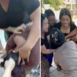 &Ccedil;ocuğunun g&ouml;z&uuml; &ouml;n&uuml;nde dehşet: 5 kadın, 1 anneyi d&ouml;v&uuml;p videoya &ccedil;ekti