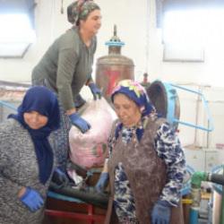 Isparta'da &uuml;retiliyor! Kilosu 12 bin avroya satılıyor