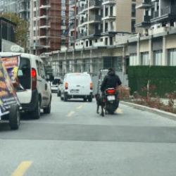 Motosiklete bağladığı k&ouml;peği metrelerce koşturdu
