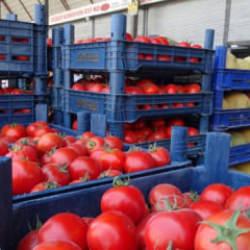 Sebze halindeki domatesin fiyatı 15 TL'ye d&uuml;şt&uuml;