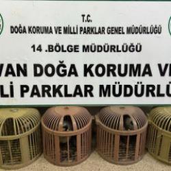 Van&rsquo;da ka&ccedil;ak avcıya jandarma ve milli parklar engeli!