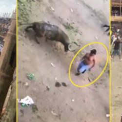 İnsanlık dışı boğa g&uuml;reşi festivali kana bulandı! 'Y&uuml;zyıllık bir tarihin son yılı olacak'