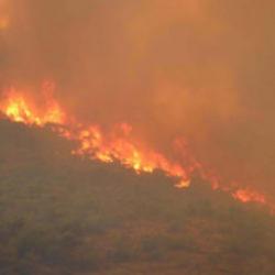 El Nino'nun g&ouml;lgesinde korkutan tablo: Milyonlarca hektar tehlike altında