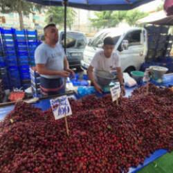 Festivalde 300 liraydı, pazarda 70 liraya d&uuml;şt&uuml;
