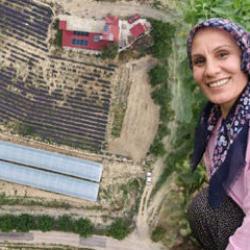 K&ouml;yde herkes bu işi yapmaya başladı! 600 bin TL kazanmak m&uuml;mk&uuml;n
