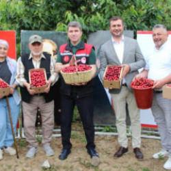 Amasya&rsquo;da dalları kiraz bastı: Bu yıl 50 bin ton rekolte bekleniyor