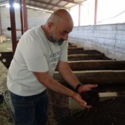 Evinin bah&ccedil;esinde servet kapısı a&ccedil;tı: Yılda 6 tonluk doğal mucize!