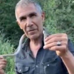 'Bir ısırığı tahtalı k&ouml;ye g&ouml;nderir' dedi boynuna doladı! Akılalmaz anlar kamerada 