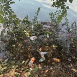 CHP'li belediyede tepki &ccedil;eken manzara: Turistlerin uğrak noktası pislik i&ccedil;inde!