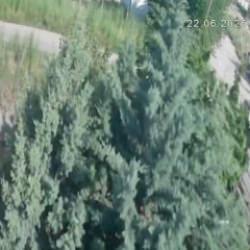 Feci kaza saniye saniye kaydedildi: Scooterlı &ccedil;ocuk aracın &ccedil;arpmasıyla hayatını kaybetti