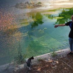 Kenti istila ettiler! İhmal var diyen vatandaş: &Ccedil;ocuklarımız yara i&ccedil;inde
