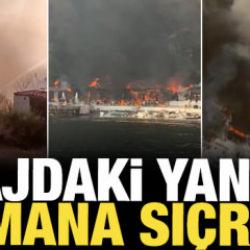 4 kişi yaralandı: İstanbul'da plajdaki yangın ormana sı&ccedil;radı