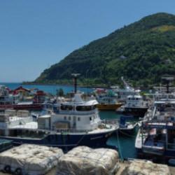 Balık&ccedil;ıların yeni sezonda umudu palamut