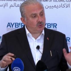 İstanbul'da "Suriye'de Yeni Anayasa ve Toplumsal Barış" paneli d&uuml;zenlendi