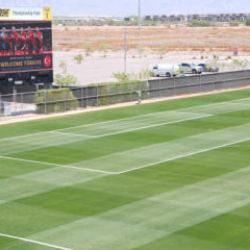 Milli Takım neden Arizona'da kamp yaptı? TFF'den resmi a&ccedil;ıklama geldi