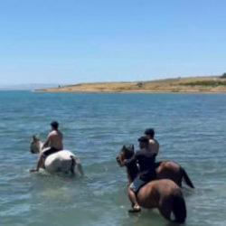 Sıcaktan bunalan gen&ccedil;ler atlarıyla Van G&ouml;l&uuml;'nde serinledi