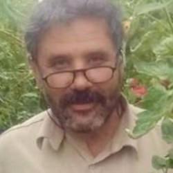 Trakt&ouml;r şarampole yuvarlandı, s&uuml;r&uuml;c&uuml; &ouml;ld&uuml;