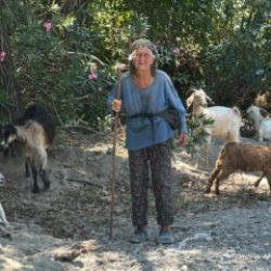 90 yaşındaki &ccedil;obanı g&ouml;ren hayret ediyor 