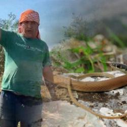 'Yılanı &ouml;ld&uuml;rd&uuml;m' diyerek &ccedil;ektiği video cebine ateş d&uuml;ş&uuml;rd&uuml; 