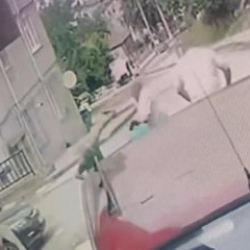 Ağabeyinin, yengesini ve yeğenini &ouml;ld&uuml;rd&uuml;! Yeni gelişme