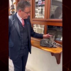 Bel&ccedil;ika Başbakanı De Wever'den g&uuml;l&uuml;mseten kedi paylaşımı: "Dost&ccedil;a bir T&uuml;rk kedisi"