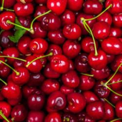 &Ouml;l&uuml;m nedenleri tam olarak bilinmiyor: En son bah&ccedil;e kirazı yemişlerdi