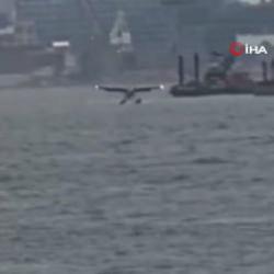 New York semalarında seyreden deniz u&ccedil;ağı nehre sert iniş yaptı: 2 yaralı