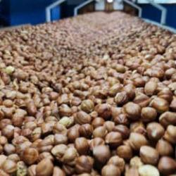 Rakamlar a&ccedil;ıklandı: Fındık ihracatından 1,4 milyar dolarlık gelir!