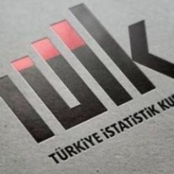 T&Uuml;İK a&ccedil;ıkladı: En &ccedil;ok kazandıran yatırım aracı belli oldu!
