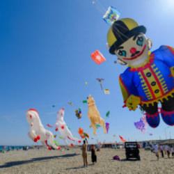 4'&uuml;nc&uuml; Trakya U&ccedil;urtma Festivali i&ccedil;in geri sayım başladı 