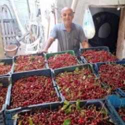 Kilosu 40 TL, iş&ccedil;i yevmiyesini bile karşılamıyor!