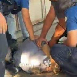 Akli dengesi yerinde olamayan adamın &uuml;zerinden &ccedil;ıkan para şoke etti