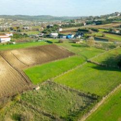 Arsa yatırımcısı Anadolu'ya y&ouml;neldi! İstanbul hem pahalı hem yer kalmadı!