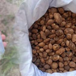 Bing&ouml;l&rsquo;de izinsiz salep toplayan ve biyoka&ccedil;ak&ccedil;ılık yapan ş&uuml;phelilere 4 milyon lira ceza