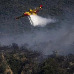 Fransa'da orman yangını &ccedil;ıkaran 59 kişi g&ouml;zaltına alındı
