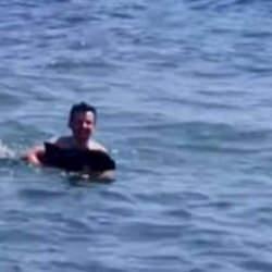 Şark&ouml;y'de denize girenlerin arasına yavru yunus daldı: Eğlenceli anlar kamerada