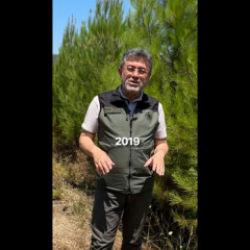  Bakan Yumaklı: Muğla'da yanan 1400 hektarlık alanı yeniden ağa&ccedil;landırdık