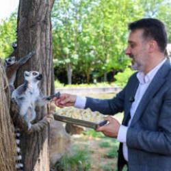 Başkan Vekili Biba, Bursa Hayvanat Bah&ccedil;esi'nde incelemelerde bulundu 