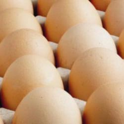 ABD'de salmonella alarmı: Milyonlarca yumurta toplandı