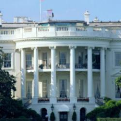 ABD'de yapay zeka krizi: Trump'ın atadığı kişi istifa etti!