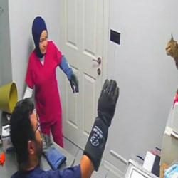 &Ccedil;ılgın kedi T&uuml;rkiye'nin g&uuml;ndemine oturdu! Tutabilene aşk olsun