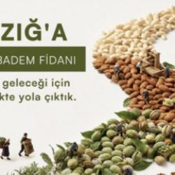 Elazığ'ın taşlık yama&ccedil;ları bademle yeşerecek: &Ccedil;EKUD'dan 20 bin fidanlık seferberlik