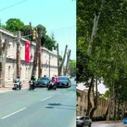 İstanbul'un simgesinde g&ouml;z g&ouml;re g&ouml;re gelen felaket! İBB'nin hatası asırlık mirası &ccedil;&uuml;r&uuml;tt&uuml;!