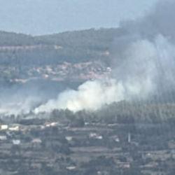 Son dakika: Muğla'da orman yangını!