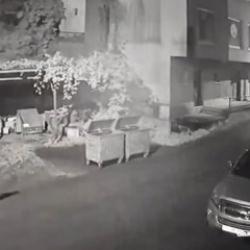Rize'de filmleri aratmayan kovalamaca: Anne ayı vatandaşı b&ouml;yle kovaladı