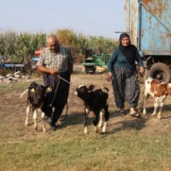 Y&uuml;z binde bir g&ouml;r&uuml;len vaka! Besici &ccedil;ift, sevin&ccedil;ten havalar u&ccedil;tu