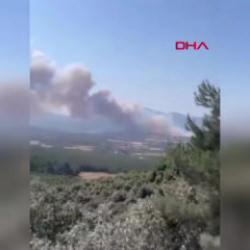 &Ccedil;anakkale&rsquo;de orman yangını
