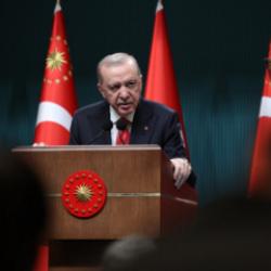 Cumhurbaşkanı Erdoğan'dan orman yangınlarıyla ilgili a&ccedil;ıklama