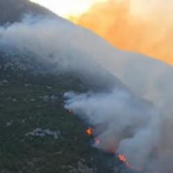 Kaş'ta orman yangını! Havadan ve karadan m&uuml;dahale ediliyor